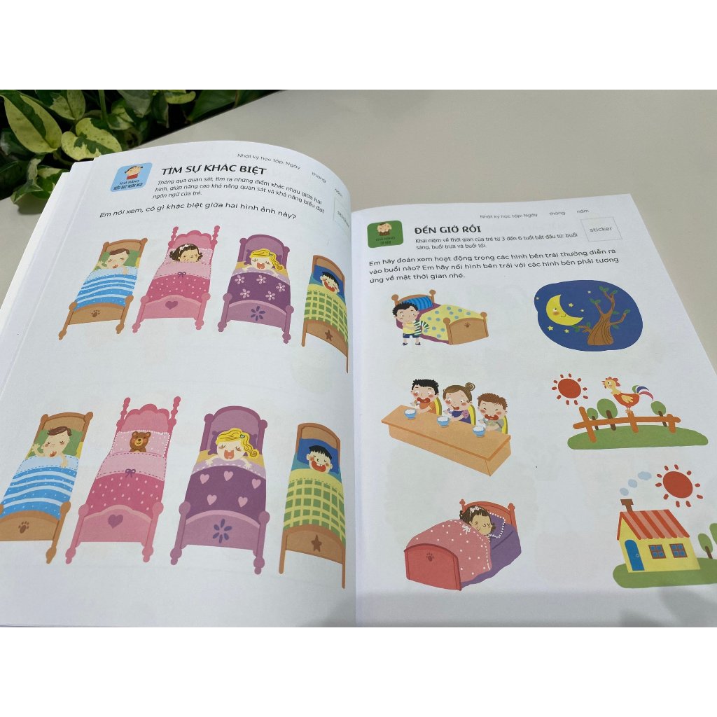 Sách - Phát triển tư duy: Rèn luyện não trái, não phải cho bé 3-6 tuổi