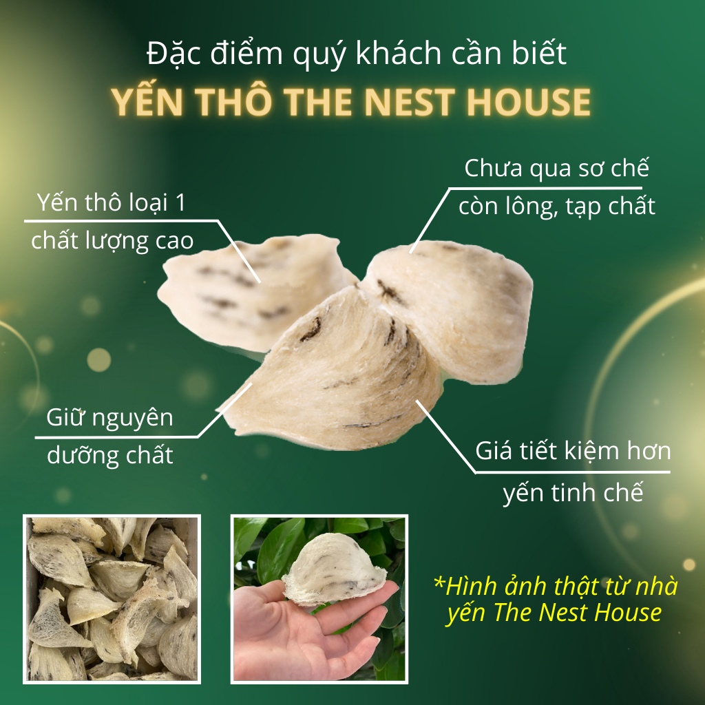 Hộp 1 tổ yến sào thô nguyên tổ - Tổ yến thô sạch ít lông nguyên chất - The Nest House