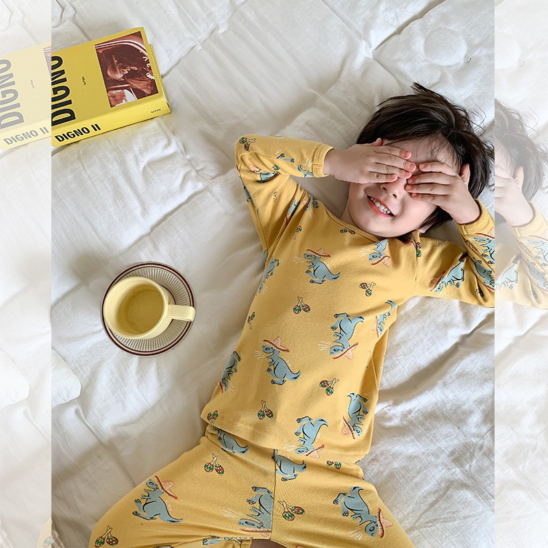 Bộ hoạ tiết cotton co giãn thu đông 2023 link 1