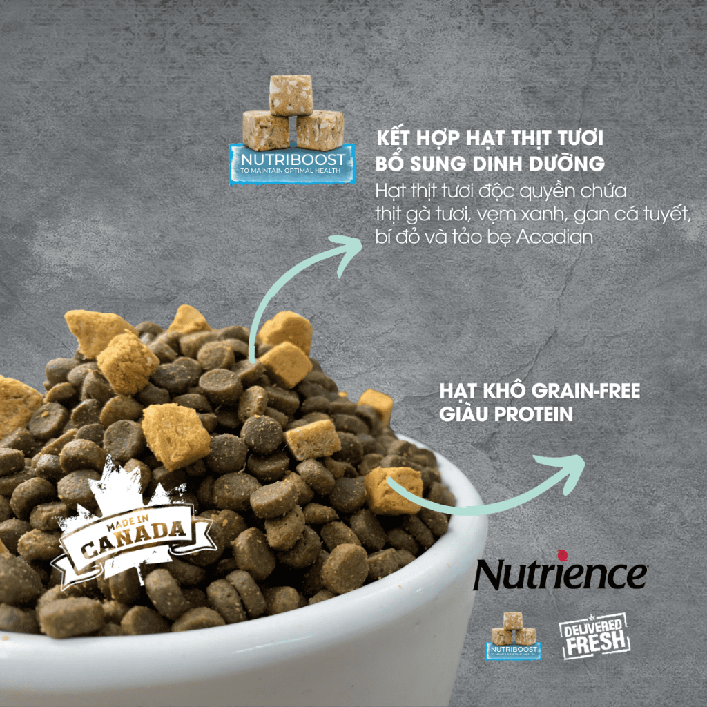 Nutrience Subzero - Thức Ăn Hạt Topping Thịt Sấy Cao Cấp Cho Mèo Bao 5Kg - Made in Canada