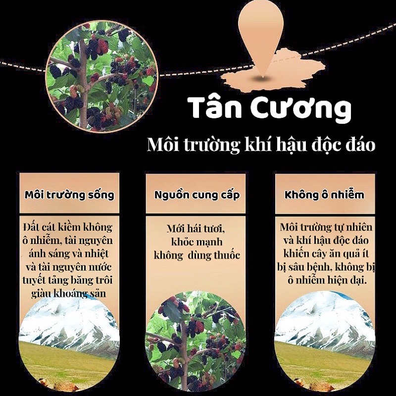 🍵  Dâu Tằm sấy nguyên vị - Trà Dâu Tằm 🍰