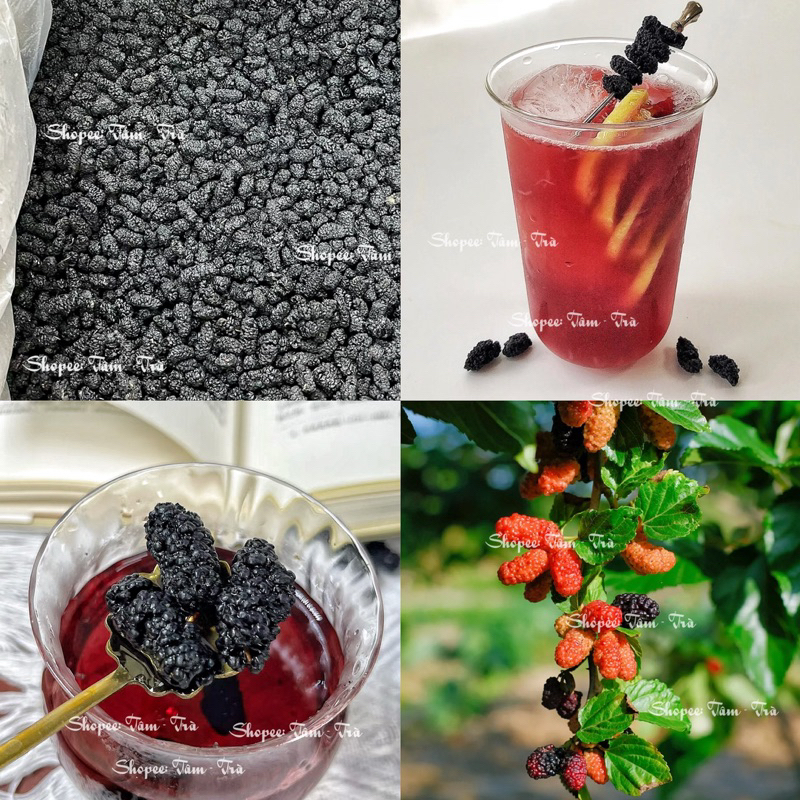 🍵  Dâu Tằm sấy nguyên vị - Trà Dâu Tằm 🍰