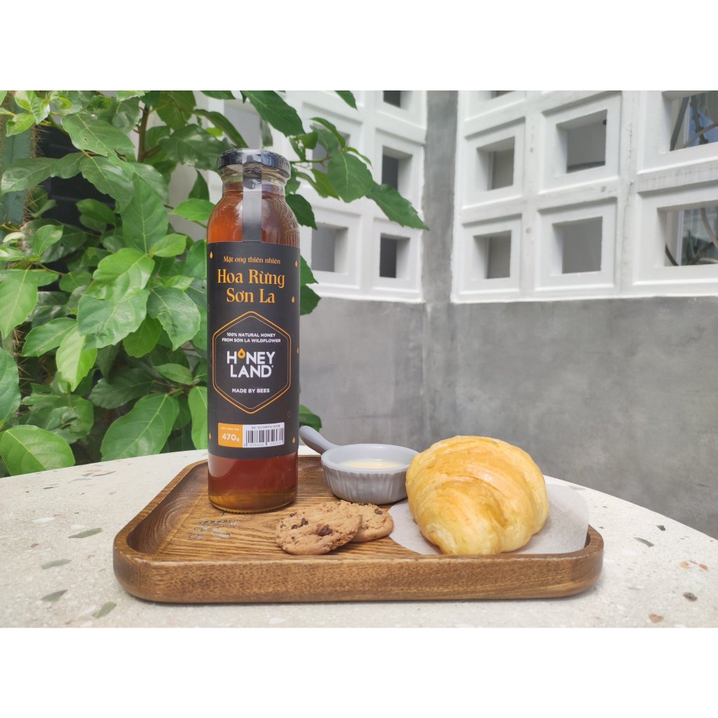 Mật ong thiên nhiên nguyên chất Hoa Rừng Sơn La HONEYLAND 470g