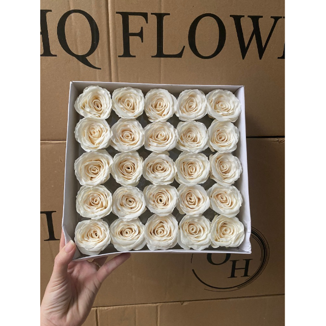 Hộp 25 bông hoa hồng Ecuado Cao Cấp,Cam Kết Hàng Đẹp,Form Chuẩn