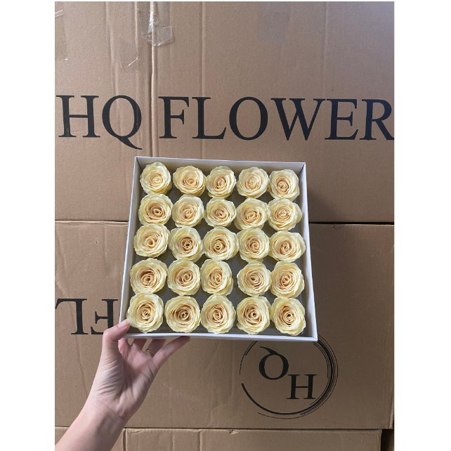 Hộp 25 bông hoa hồng Ecuado Cao Cấp,Cam Kết Hàng Đẹp,Form Chuẩn