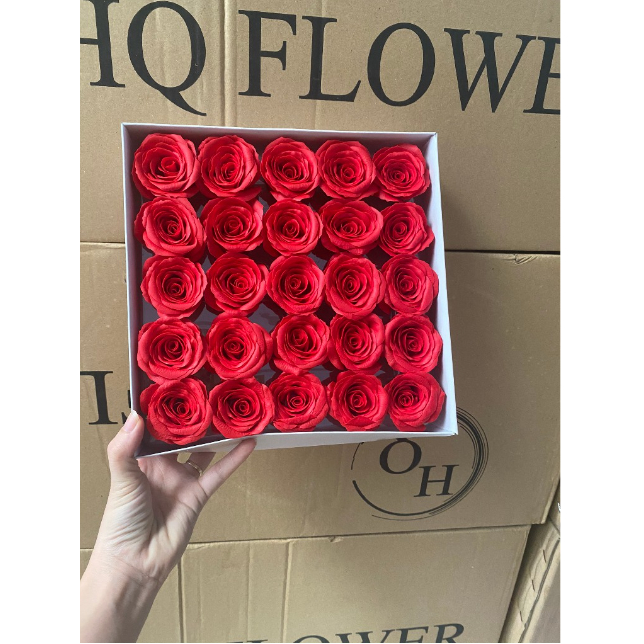 Hộp 25 bông hoa hồng Ecuado Cao Cấp,Cam Kết Hàng Đẹp,Form Chuẩn