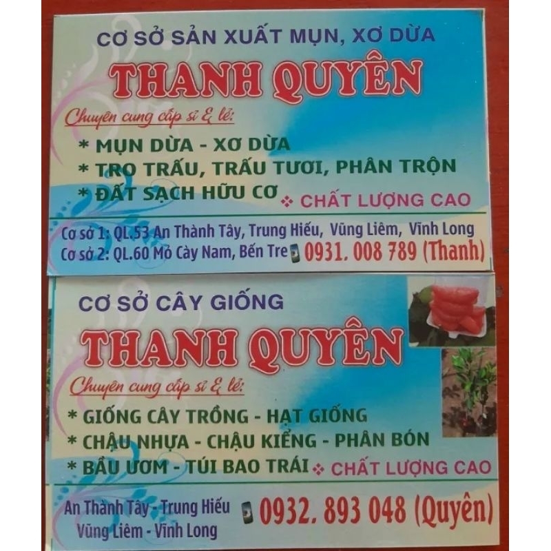 CHANH ĐÀO CHUẨN GIỐNG