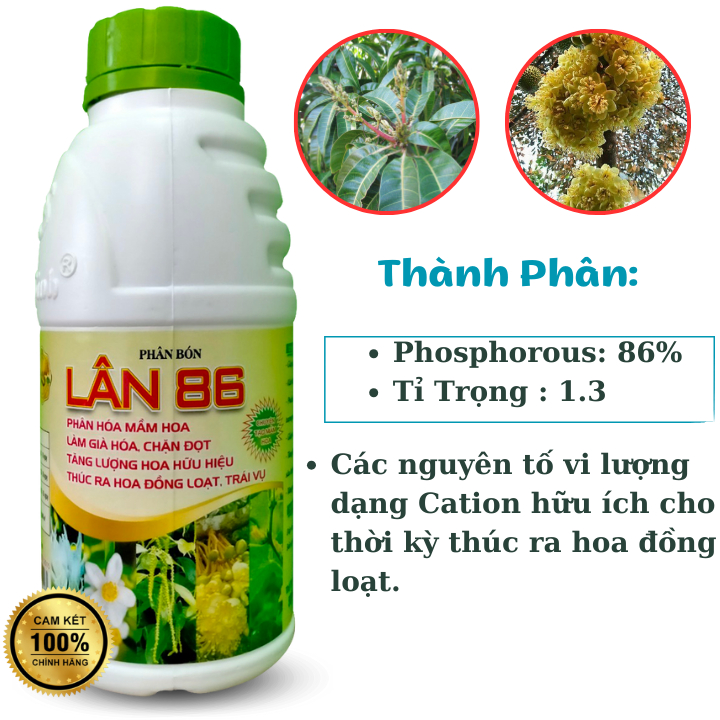 SIÊU LÂN 86  Tạo Mầm Hoa, Chặn Đọt, Ra Hoa Đồng Loạt - 500ml