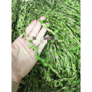 Dây thừng lá cây- giá 1 met