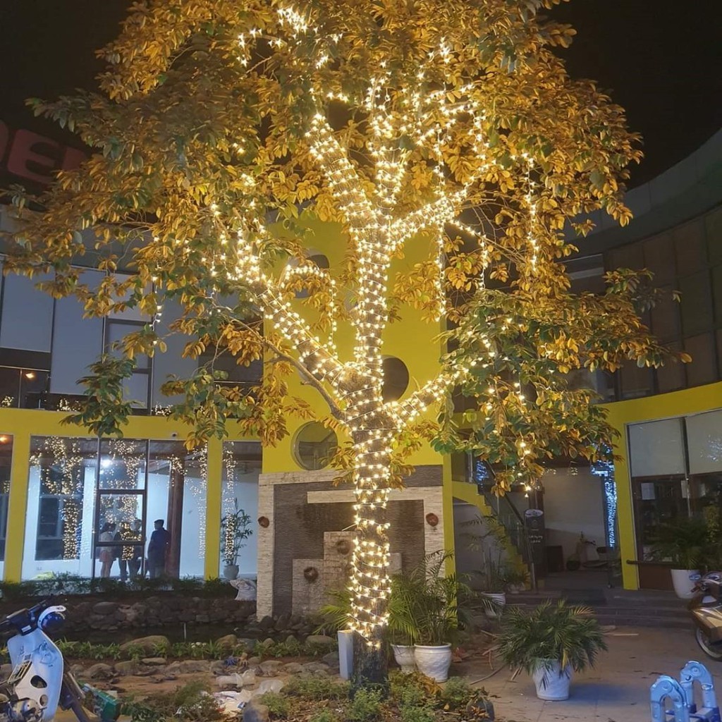 Dây đèn LED 50m cuốn cây Chống Nước, Trang trí ngoài trời - Đèn Nháy Trang Trí quán cafe ngoài trời, sân vườn, tết,