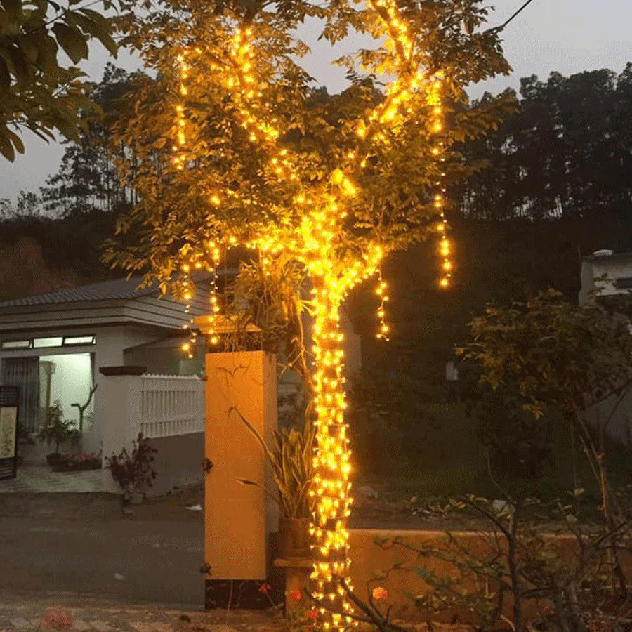 Led Đúc F5 quấn cây trang trí ngoài trời chống nước tuyệt đối , led quấn cây siêu sáng Bh12 tháng