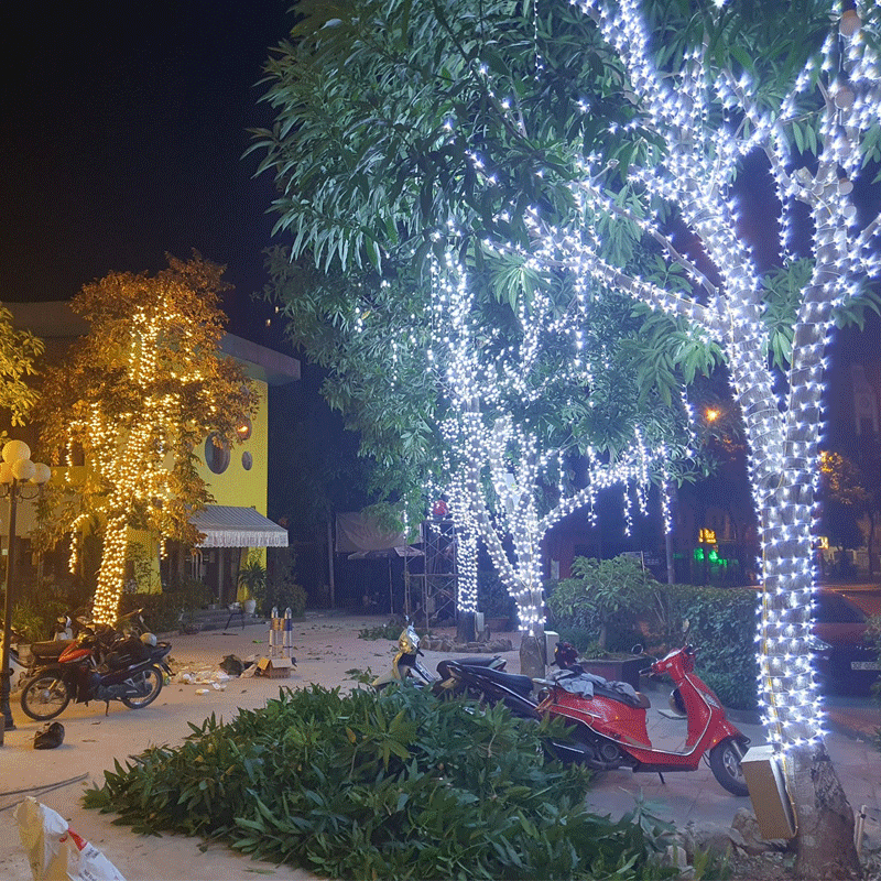 Led Đúc F5 quấn cây trang trí ngoài trời chống nước tuyệt đối , led quấn cây siêu sáng Bh12 tháng