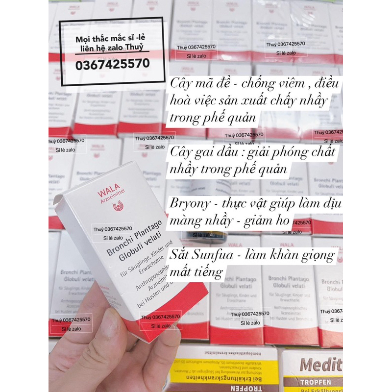 Viên ngậm Ho Wala Bronchi Plantago cho bé từ 0m+