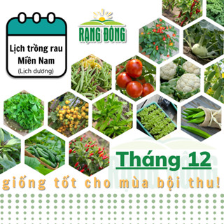 Hạt giống Rau Củ Quả trồng theo mùa ở miền NAM, tháng 12 này trồng rau gì? - Hạt giống Rạng Đông
