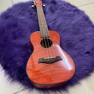 Đàn ukulele concert cao cấp - Kèm bao da, đàn có khoá đúc không rỉ - Bảo hành 1 năm