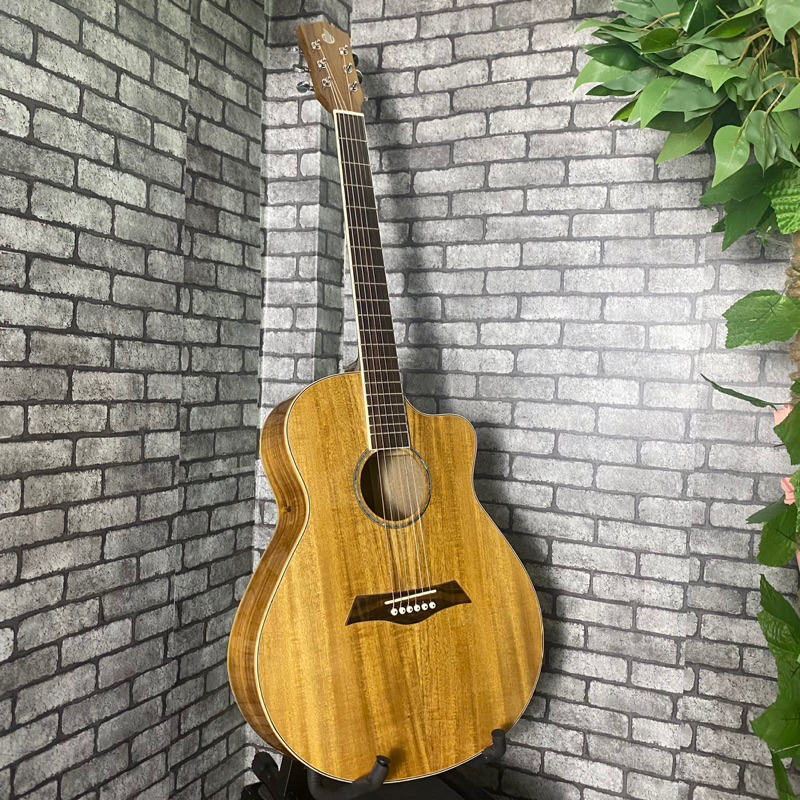 Đàn guitar acoustic full gỗ koa bọc tút- Có ty chống cong - Bảo hành 18 tháng