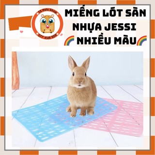 tấm lót nhựa ( miếng lót sàn) cứng cho thỏ, bọ, sóc bắc mỹ đỡ đau chân Jessie