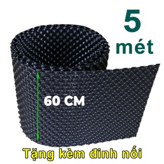77903 loi doi dang Kích thước chậu: cao 60cm