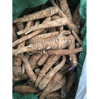 Bạch chỉ khô, bạch chỉ nguyên củ
