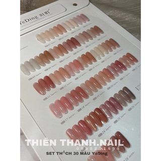 Set sơn thạch Yeding 30 màu siêu đẹp
