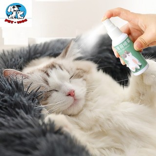 Catnip - dạng xịt cho mèo, xịt catnip giúp chó mèo thư giãn giải tỏa căng thẳng, xịt cỏ mèo 50ml