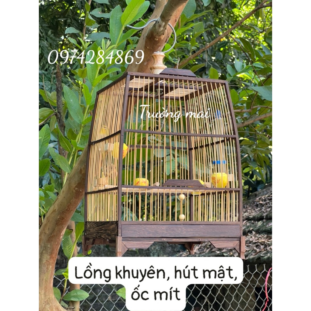 KHUNG LỒNG TỰ RÁP gỗ mun nan tre  cho chim Hút mật , ốc mít , khuyên thái đấu , vuông đấu kèm dầu bóng và keo