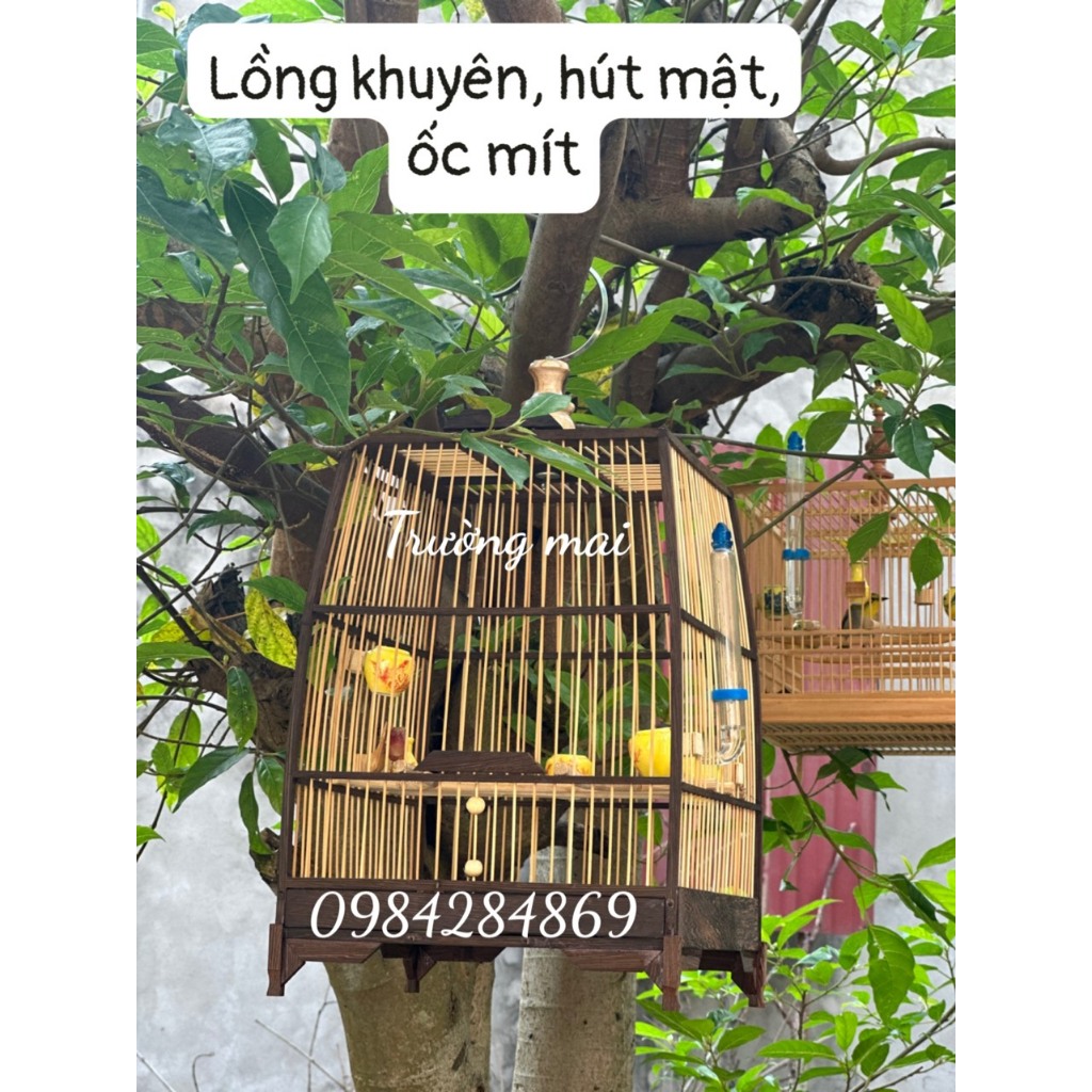 KHUNG LỒNG TỰ RÁP gỗ mun nan tre  cho chim Hút mật , ốc mít , khuyên( kt 25*37)kèm dầu bóng và keo) TTMT012