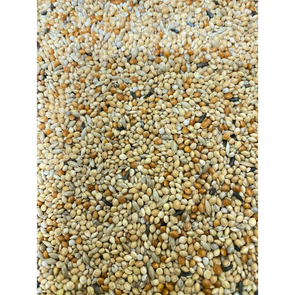 Hạt trộn Manitoba chuyên cho dòng finch như: chim 7 màu, bạc má,manh manh,sắc nhật,vẹt yến phụng gói 500g,1kg