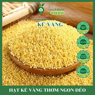 500G  Hạt Kê Đã Tách Vỏ Cho Bé Ăn Dặm Bao Dẻo Nấu Bánh Kê Chè Cháo Kê - Hạt Kê Vàng