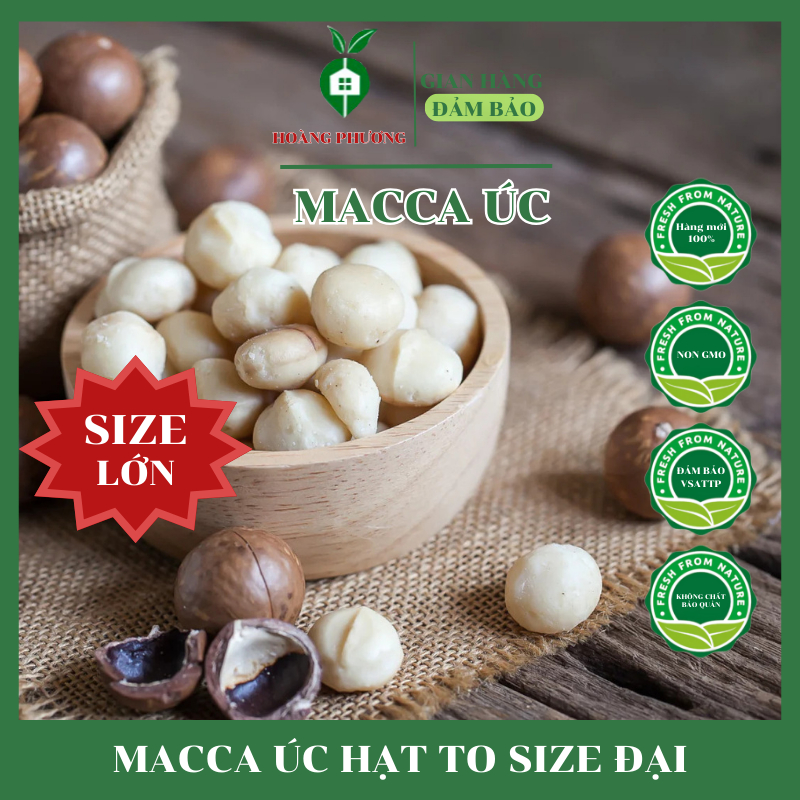 Macca Nứt Tách Vỏ Tự Nhiên Úc 500G Size 25-28 Loại 1 Tặng Kèm Khui 💝FREE SHIP💝 Hạt Mắc Ca Nứt Vỏ Thơm Ngon