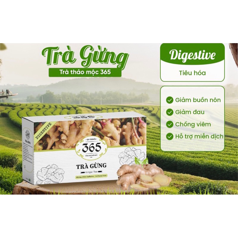 Trà Gừng 365 Cozy