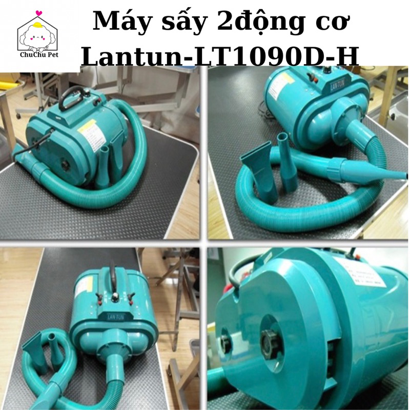 Máy sấy lông công suất lớn Lantun chuyên dụng Grooming Lantun1090D-H