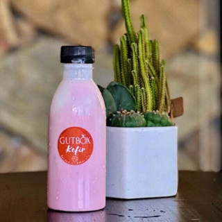 10 Chai nhựa tròn 250 ml fi nắp fi 30