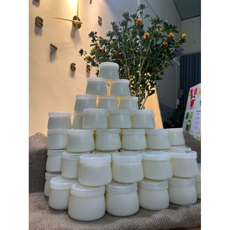 100 Hũ sữa chua lùn 100 ml