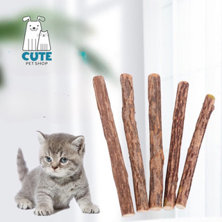 1 que gỗ catnip cho mèo gặm sạch răng xã stress