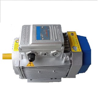 Động cơ điện toàn phát 3hp 2.2kw và 2hp 1.5kw - motor điện dùng đa năng hiệu suất cao