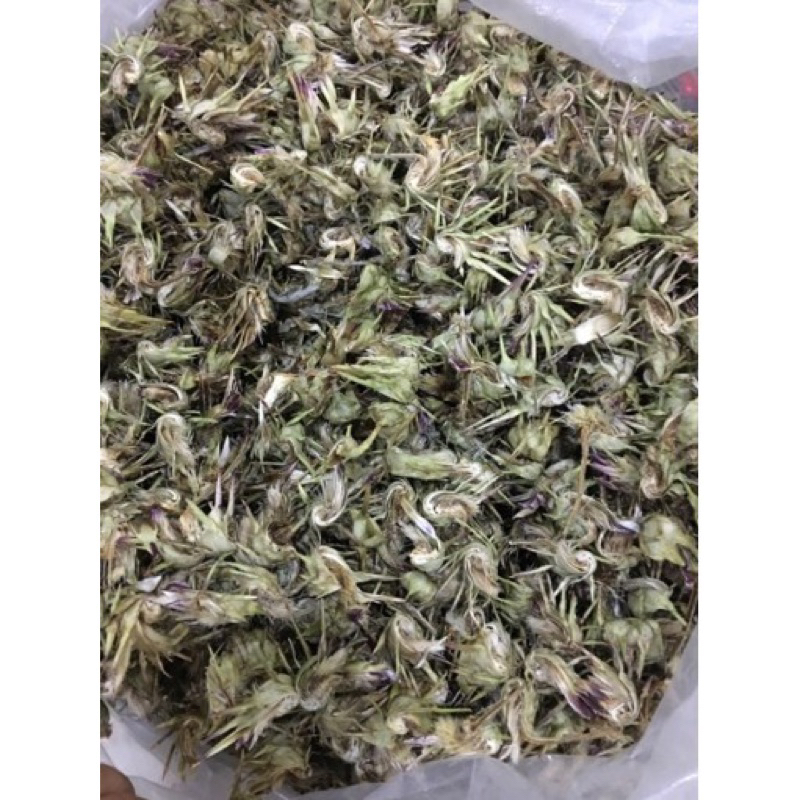 Hoa ATISO Sapa Thơm Chuẩn