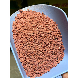 Phân kali - kali IIrael cao cấp , thích hợp cho nhiều loại cây trồng