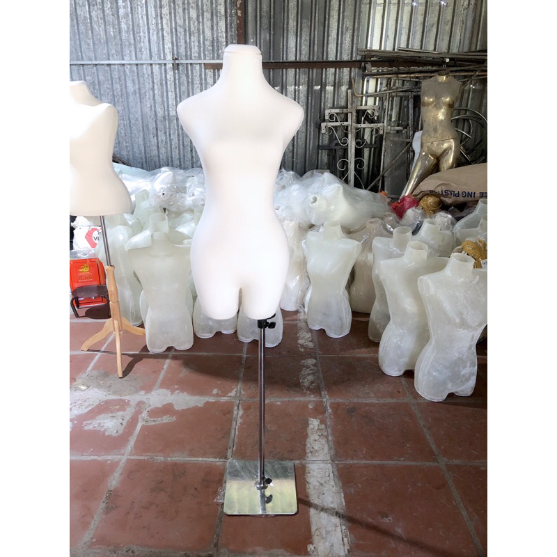 Manocanh nữ chóp bằng