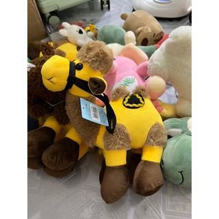 Gấu bông đồng giá 50k