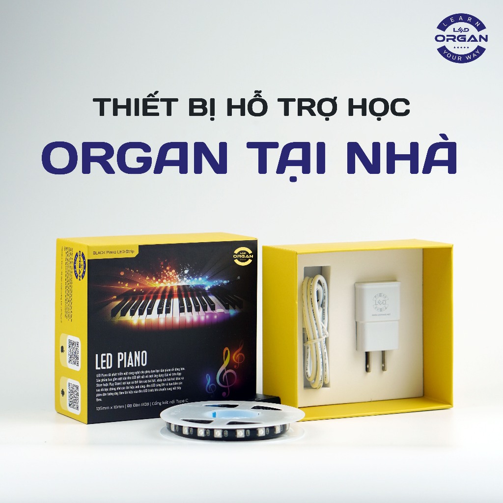 LED Organ- Thiết bị hỗ trợ học đàn Organ tại nhà