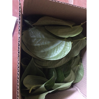 lá trầu không tươi 500g
