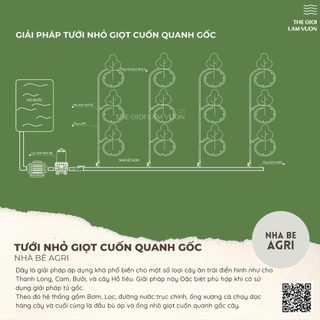 Ống tưới nhỏ giọt Rivulis Bloom