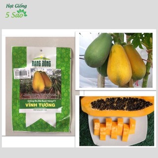 Hạt giống Đu Đủ Ruột Vàng F1 Vĩnh Tường