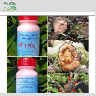 Keo liền da cây Mỹ Tiến