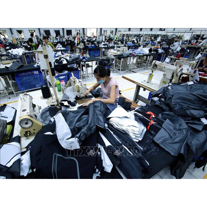 Áo sơ mi jean nữ croptop 2 túi hộp tay ngắn xăn lai baggic Hàn Quốc