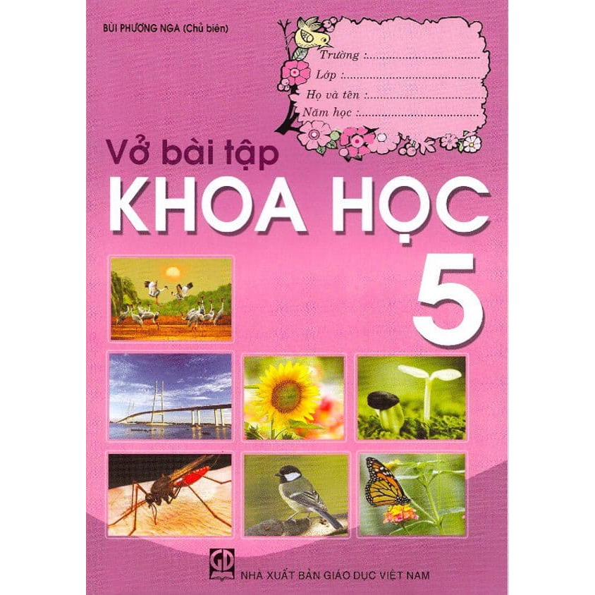 Khoa học 5 , Vbt khoa học 5 kèm bút chì cute