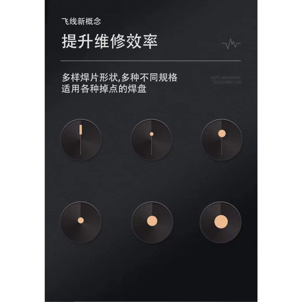 Nòng Nọc Câu Chân Main
