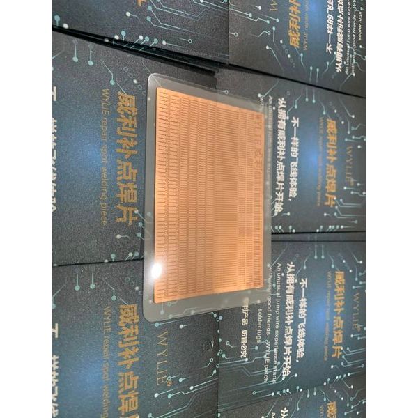 Nòng Nọc Câu Chân Main
