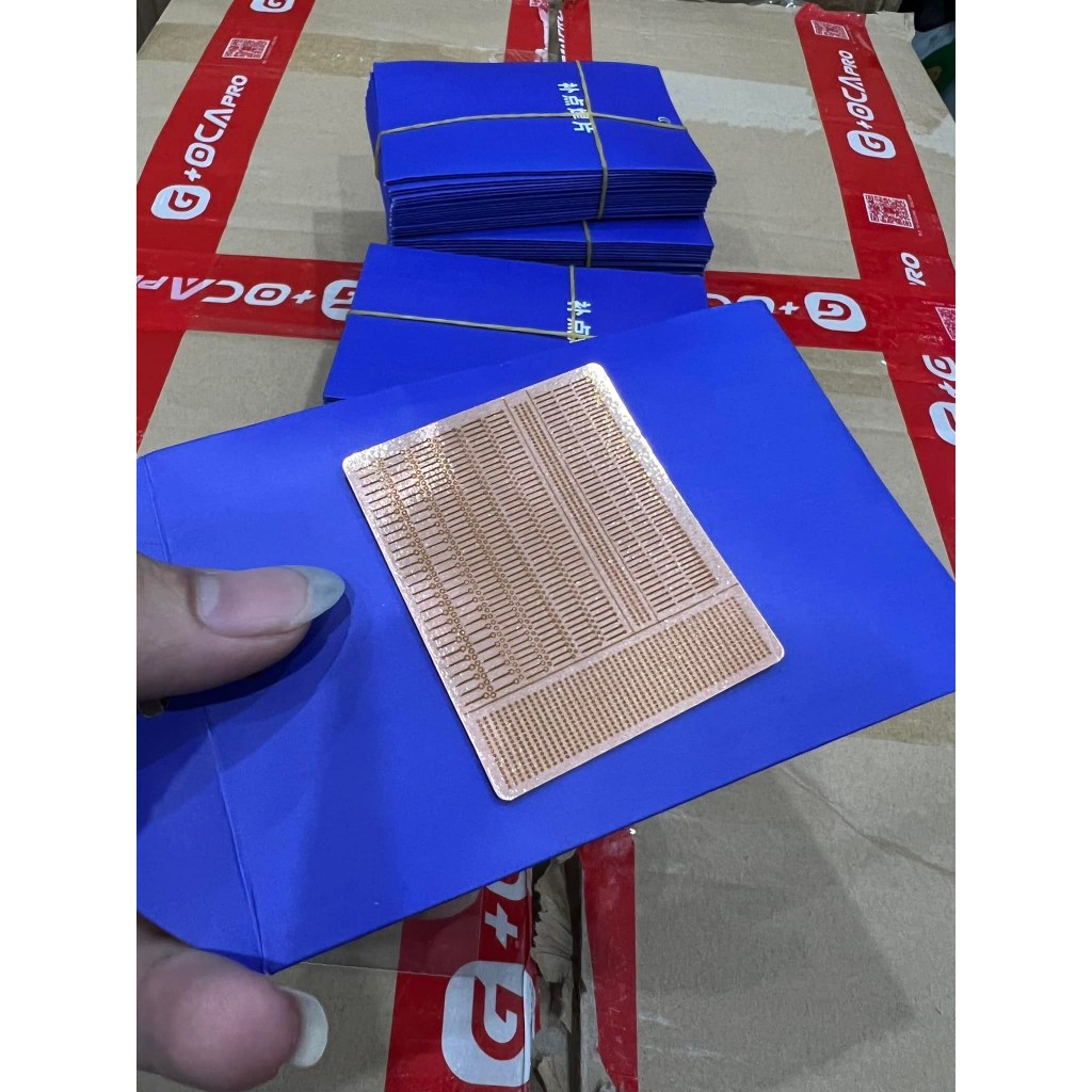 Nòng Nọc Câu Chân Main